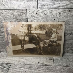 Vintage Photo Post Card Horse Baby Child‎ Buggy Ephemera Memorabilia Souvenir